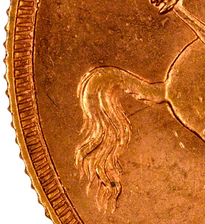 Detail Showing Short Tail on Reverse of 1891 Sovereign